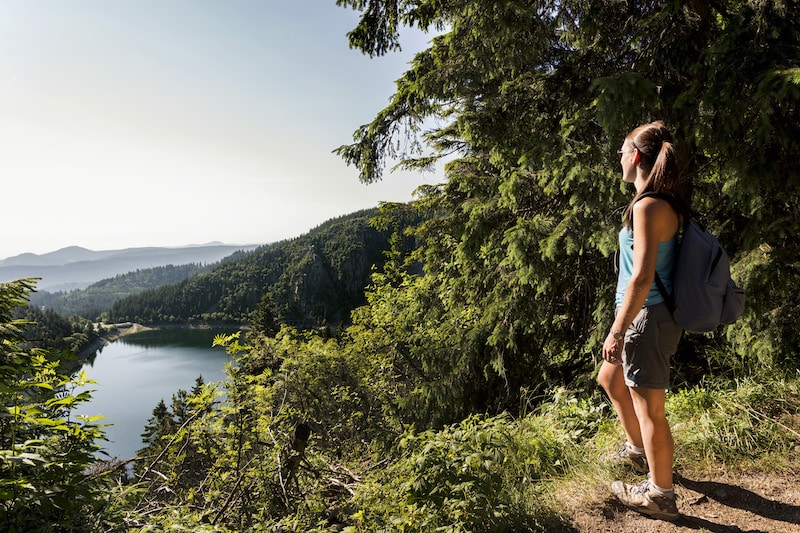 se ressourcer expériences du Massif des Vosges
